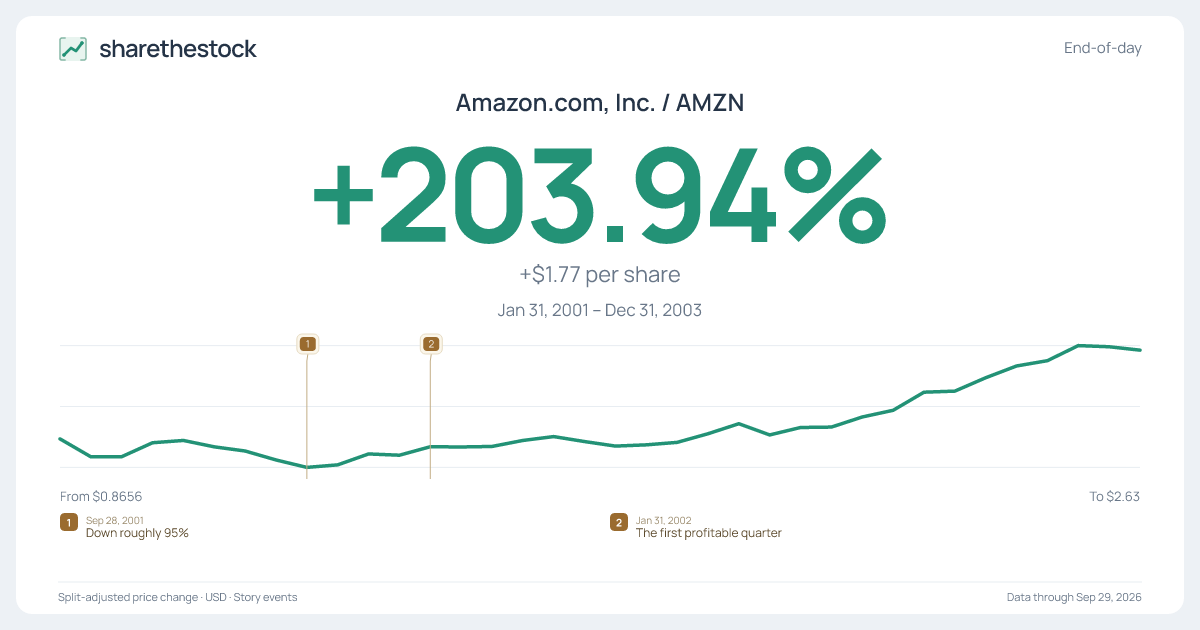 Share card for AMZN: +203.94% Jan 2001 – Dec 2003